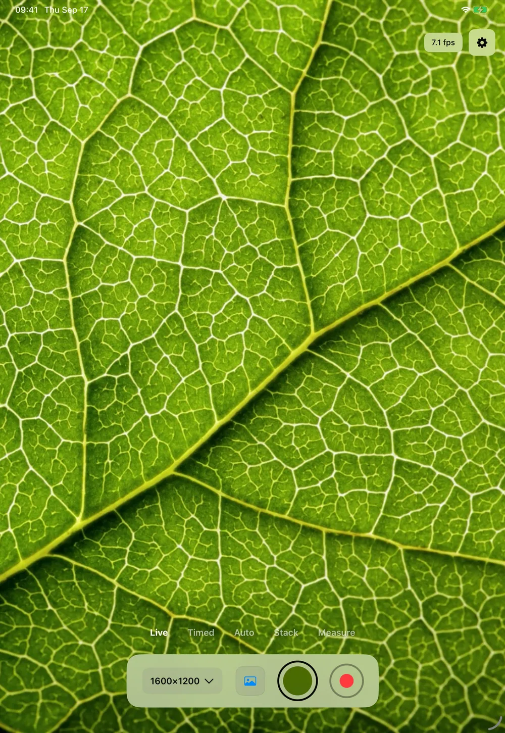 xploview iPad app showing magnified leaf detail with capture controls