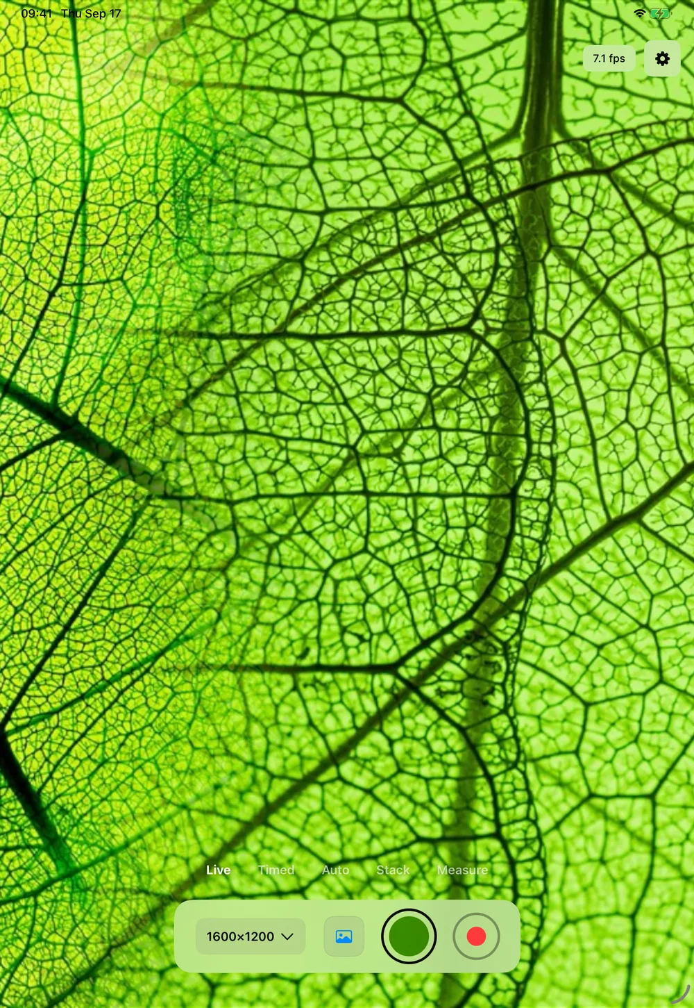 xploview iPad app showing magnified leaf detail with capture controls
